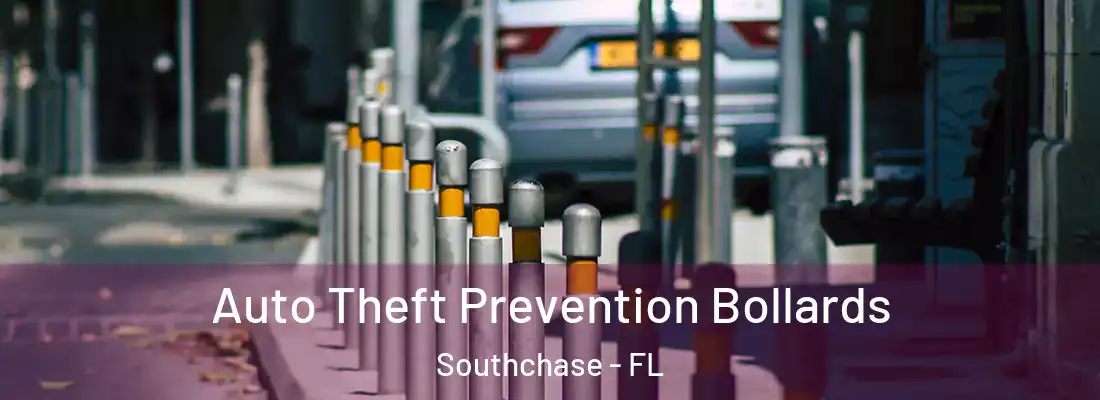  Auto Theft Prevention Bollards Southchase - FL