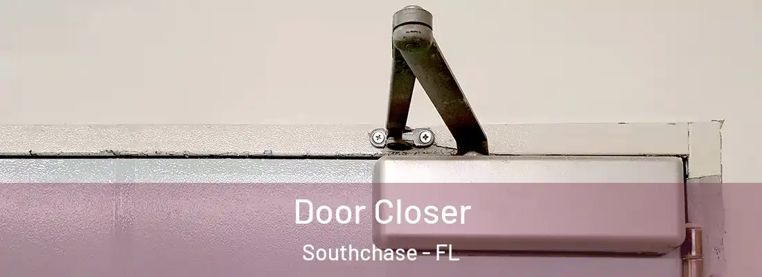 Door Closer Southchase - FL