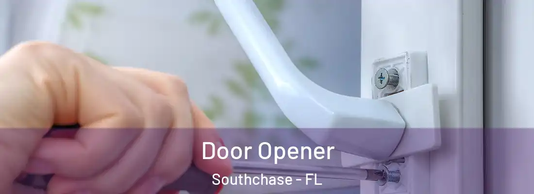  Door Opener Southchase - FL